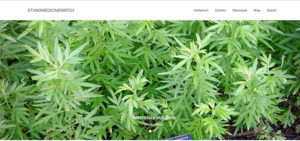 EthnomedicineWatch.com